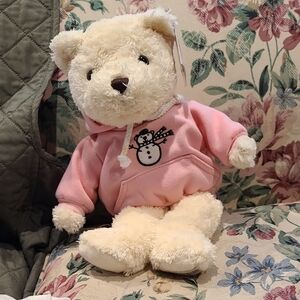Limited Edition Teddy Bear with Pink Hoodie